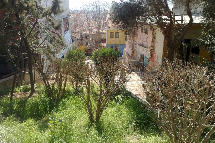 Realty photo 2