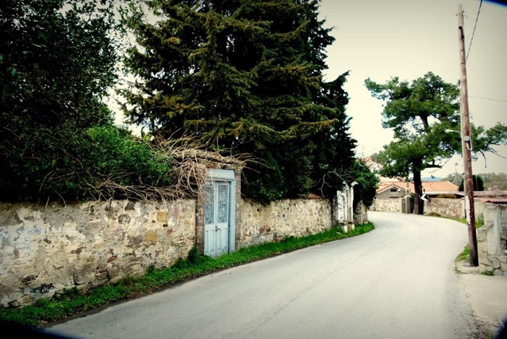 Realty photo 1