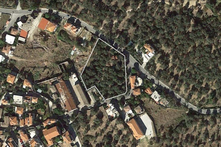 Realty photo 2
