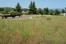 Property 38708 photo 4