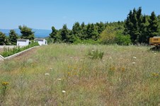 Property 38708 photo 1