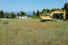 Property 38710 photo 4