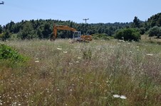 Property 38710 photo 5