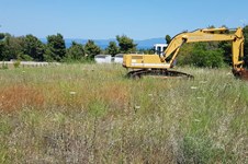 Property 38710 photo 6