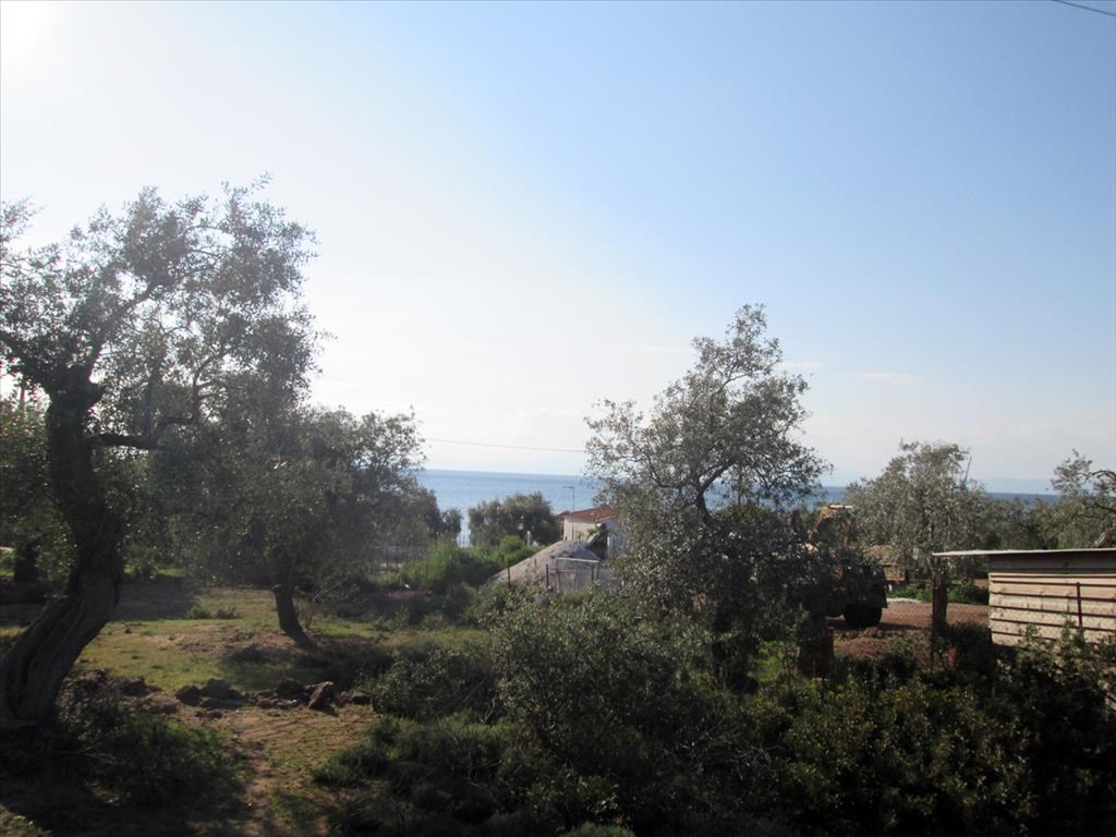 For Sale - Land 1720 m² on the island of Thassos