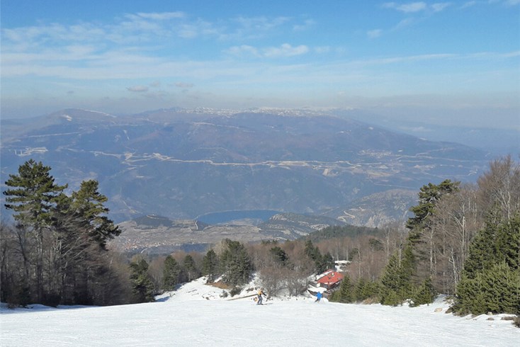Realty photo 3