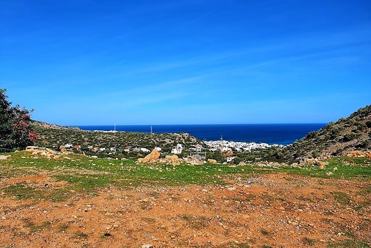 Realty photo 1