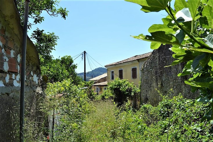 Realty photo 3