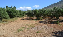 Парцел 3500 m² на Крит