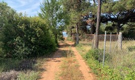 სასტუმრო 800 m² სიტონიაზე ( ქალკიდიკი)