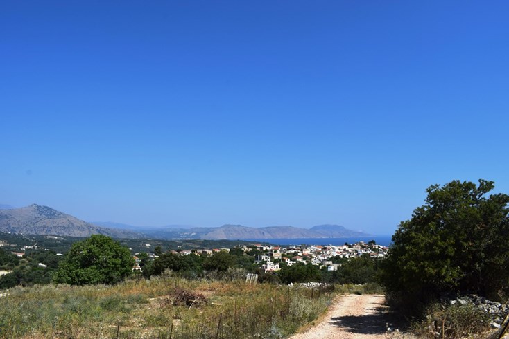 Realty photo 2