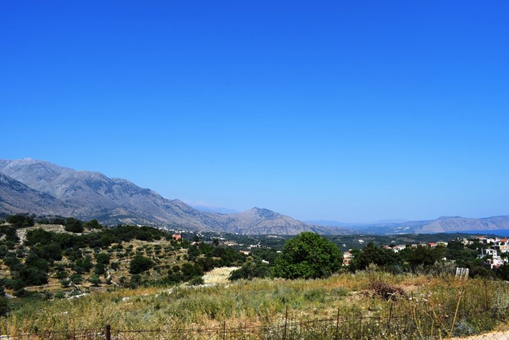 Realty photo 3