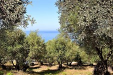 Property 38868 photo 4