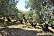 Property 38868 photo 6