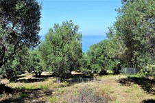 Property 38868 photo 7