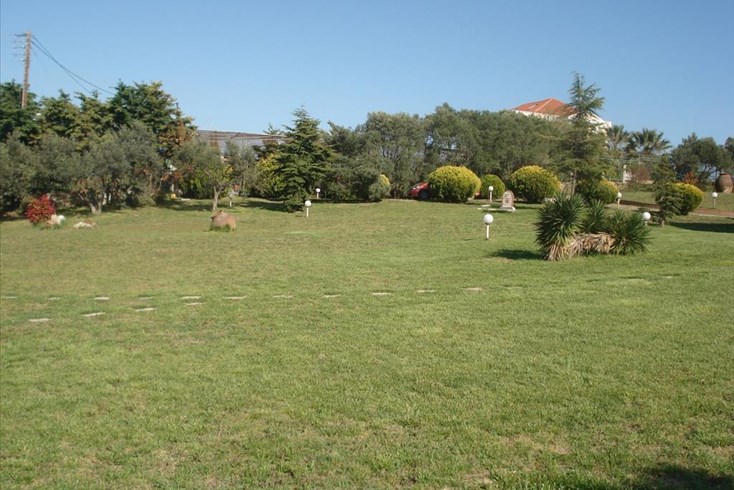Realty photo 3