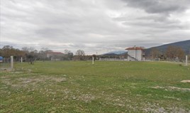 სასტუმრო ოლიმპიურ რივიერაზე