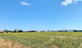 Земельна ділянка 24000 m² в Салоніках