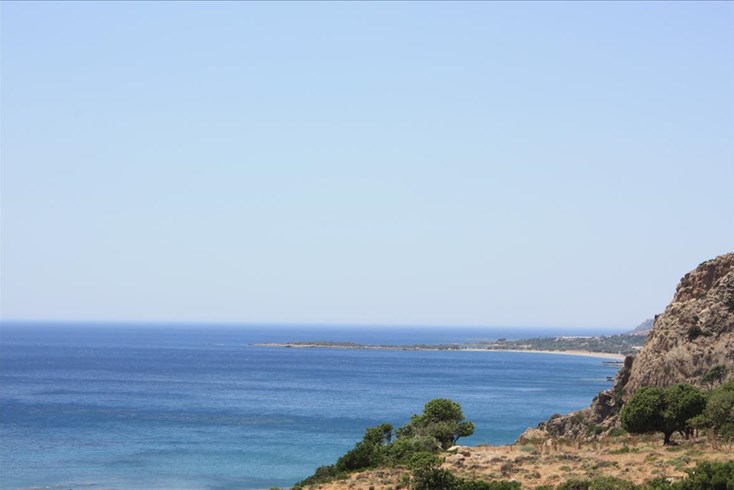 Realty photo 1