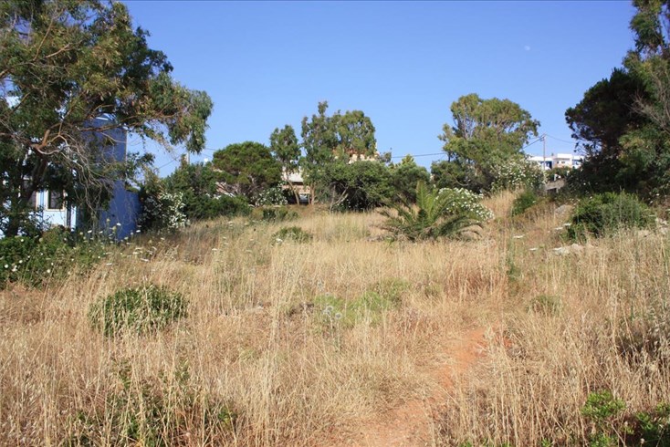 Realty photo 3