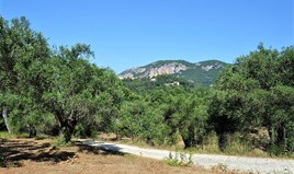 Land 4130 m² auf Korfu