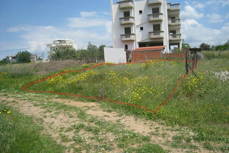 Realty photo 1