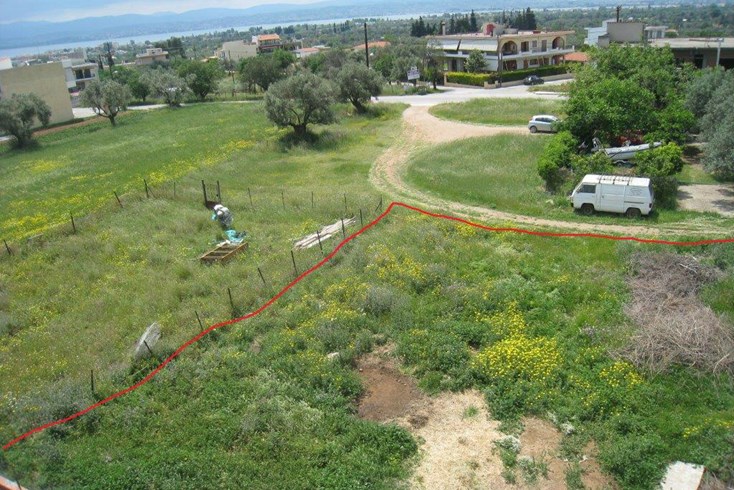 Realty photo 2