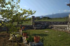 Property 39088 photo 3