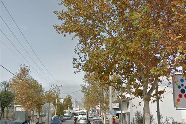 Realty photo 2