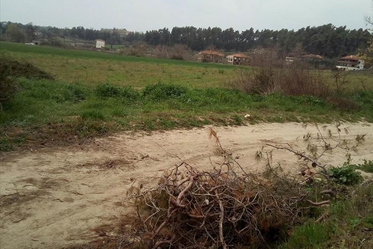 Realty photo 1