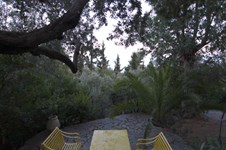 Property 39128 photo 23