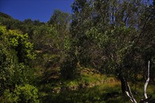Property 3914 photo 3