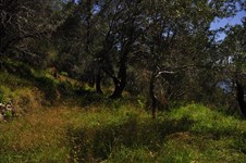 Property 3914 photo 4