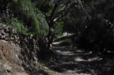Property 3914 photo 8