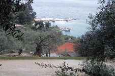 Property 3918 photo 3