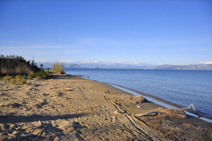 Realty photo 2
