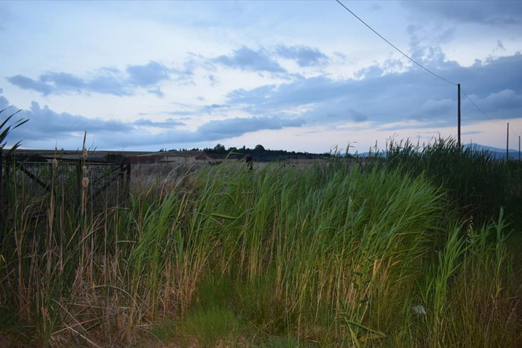 Realty photo 3