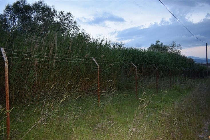 Realty photo 2