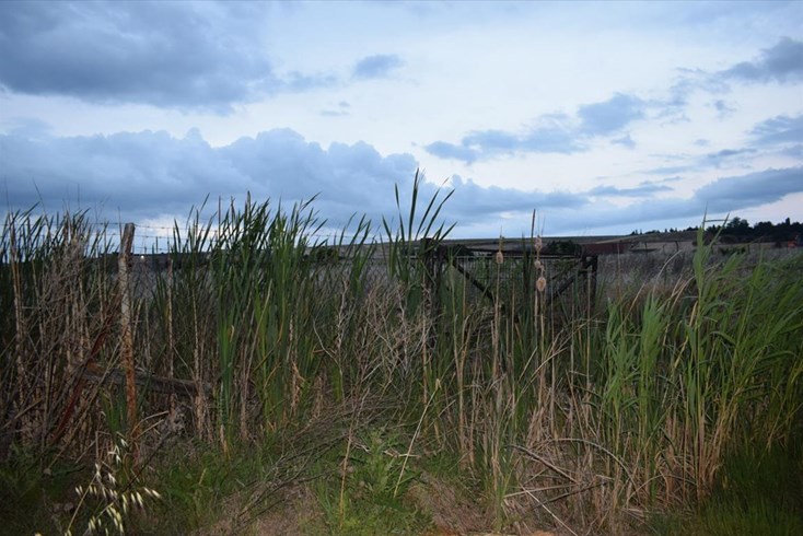 Realty photo 1