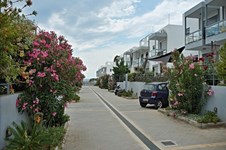 Property 3926 photo 6