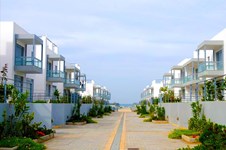 Property 3926 photo 7