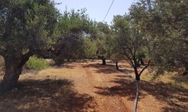 Земельна ділянка 4996 m² на Криті