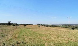 Земельный участок 7500 m² в Халкидиках