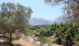 Land 4647 m² in Crete