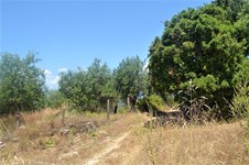 Property 39406 photo 4