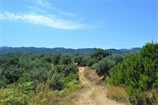 Property 39406 photo 6