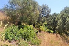 Property 39406 photo 5