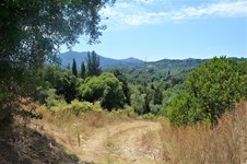 Property 39406 photo 1