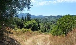 Land 2330 m² in Corfu