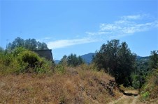 Property 39406 photo 3